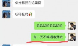 谭竹最新爆料聊天记录,揭秘聊天记录背后的惊人真相！”