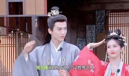 大锤爆料白鹿视频在线观看,白鹿视频在线观看，独家爆料带你一探究竟！