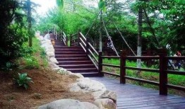 长春美人松街最新爆料,揭秘老街新颜，漫步时光隧道