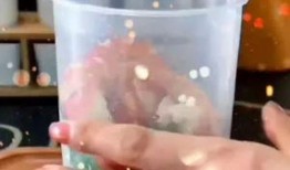 网红杯子爆料视频大全集,揭秘网红圈背后的秘密与真相