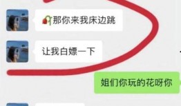 谭竹最新爆料聊天记录,揭秘聊天记录背后的惊人真相！”