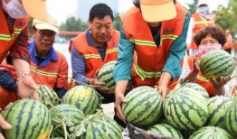 郯城吃瓜最新事件爆料视频,最新爆料视频揭露惊人真相