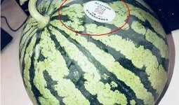 网红正常吃的瓜是什么,那些他们正常吃的“瓜”