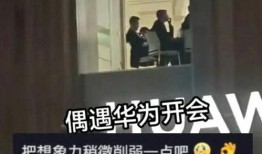 华为爆料女员工是谁啊视频,揭秘背后真相与争议