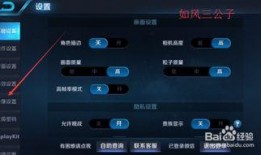 王者爆料怎么录制视频的,揭秘视频录制技巧，轻松捕捉精彩瞬间