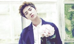 鹿晗家世逐一爆料视频播放,逐个视频深度解析