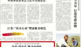 最新国际爆料新闻报道内容,最新重大新闻事件深度解析