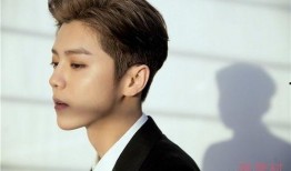 鹿晗家世逐一爆料视频播放,逐个视频深度解析