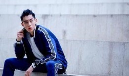 成毅粉丝爆料王鹤棣视频,幕后真相引热议