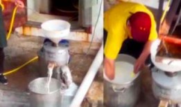 豆浆工厂爆料怎么做的视频,自制豆浆的神奇制作过程