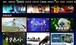 吉林影视直播在线观看,畅享云端视听盛宴