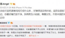 面霸老婆爆料视频在线观看,揭秘面霸夫妻背后的真实生活