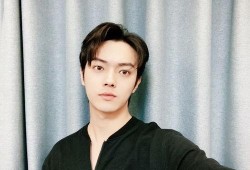 录音爆料许凯视频,真相与争议