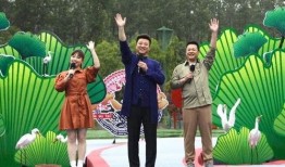 枫丹双子最新爆料视频,游戏新内容与更新前瞻