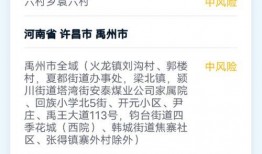 漳州官方爆料新闻最新,揭秘重大民生工程进展与成效