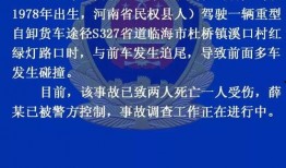 临海爆料事件最新消息,最新进展揭秘，真相逐渐浮出水面