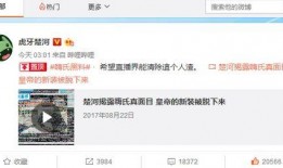 楚河爆料嗨氏视频,楚河爆料背后的故事与真相