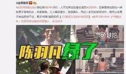 陈力铭爆料新闻事件视频,揭秘新闻事件背后真相