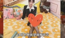 网红爆料不雅事件视频,真相与争议