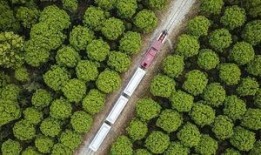 青花椒的爆料方法视频教程,视频教程详解