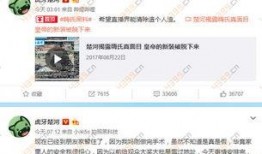 楚河爆料嗨氏视频,楚河爆料背后的故事与真相