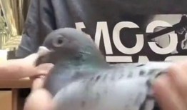 找亮点爆料视频在线观看,找亮点爆料，精彩瞬间不容错过