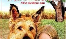 灵犬莱西在线观看,忠诚守护，在线重温经典犬类传奇