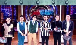 网爆婚礼爆料视频大全,揭秘甜蜜瞬间与幕后故事