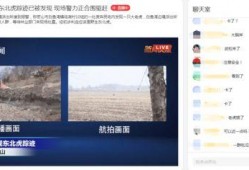 黑龙江直播在线播放观看,尽享云端视听盛宴