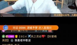 王小盒直播间爆料视频下载,揭秘视频背后的精彩瞬间