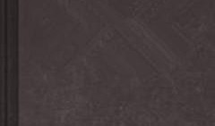 同性日记在线观看,私密情感轨迹的线上揭秘