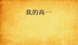 呆呆吃瓜小说免费阅读,揭秘小说世界中的趣味人生