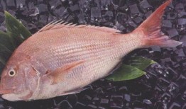 《鱼》在线观看