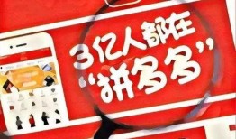 今日的爆料新闻内容,今日爆料新闻背后的惊人真相