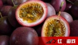 爆料百香果娱乐,揭秘娱乐圈幕后真相