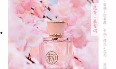 香水免费观看在线观看,在线观看香水免费观看攻略