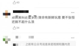 张恒爆料邓爽视频大全集,揭秘娱乐圈背后的秘密