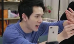 辛巴爆料 李佳琦视频,视频内容引发热议