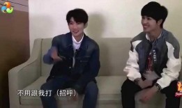 爱豆最新事件爆料视频,最新事件爆料视频揭秘幕后真相