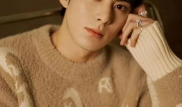 成毅粉丝爆料王鹤棣视频,幕后真相引热议