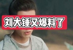 刘大锤爆料预言真相视频,预言真相视频背后的惊人内幕