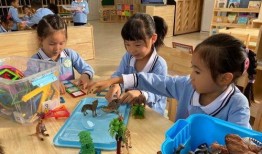 珠海幼儿园爆料案件最新,揭开虐童事件背后的真相