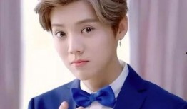 鹿晗家世逐一爆料视频播放,逐个视频深度解析