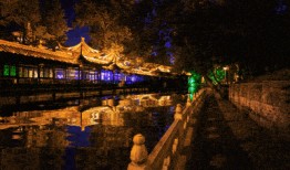 春江花月爆料视频,揭秘幕后精彩瞬间