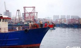 爆料渔船视频大全集,渔船视频大全集精彩瞬间回顾