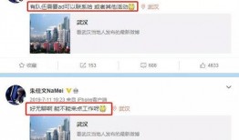 娜美聊天记录爆料视频,揭秘背后惊人内幕