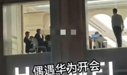 华为爆料女员工是谁啊视频,揭秘背后真相与争议