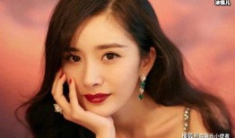 杨幂爆料网红事件视频播放