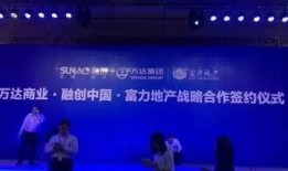 富力董事长爆料视频最新,最新爆料视频深度解析