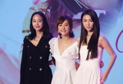 娱乐圈吃瓜爆料文章大全,揭秘明星背后的故事与真相